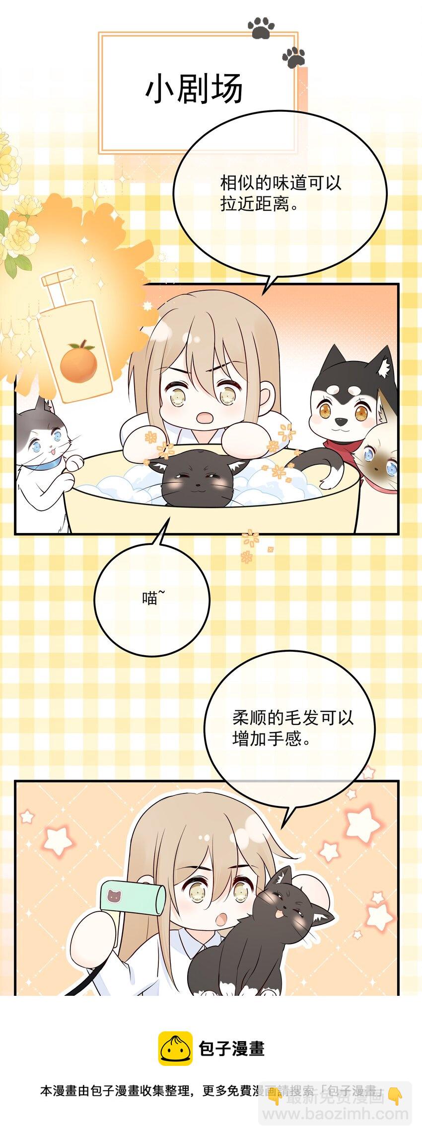 045 当我的配偶(1/2)-第49话