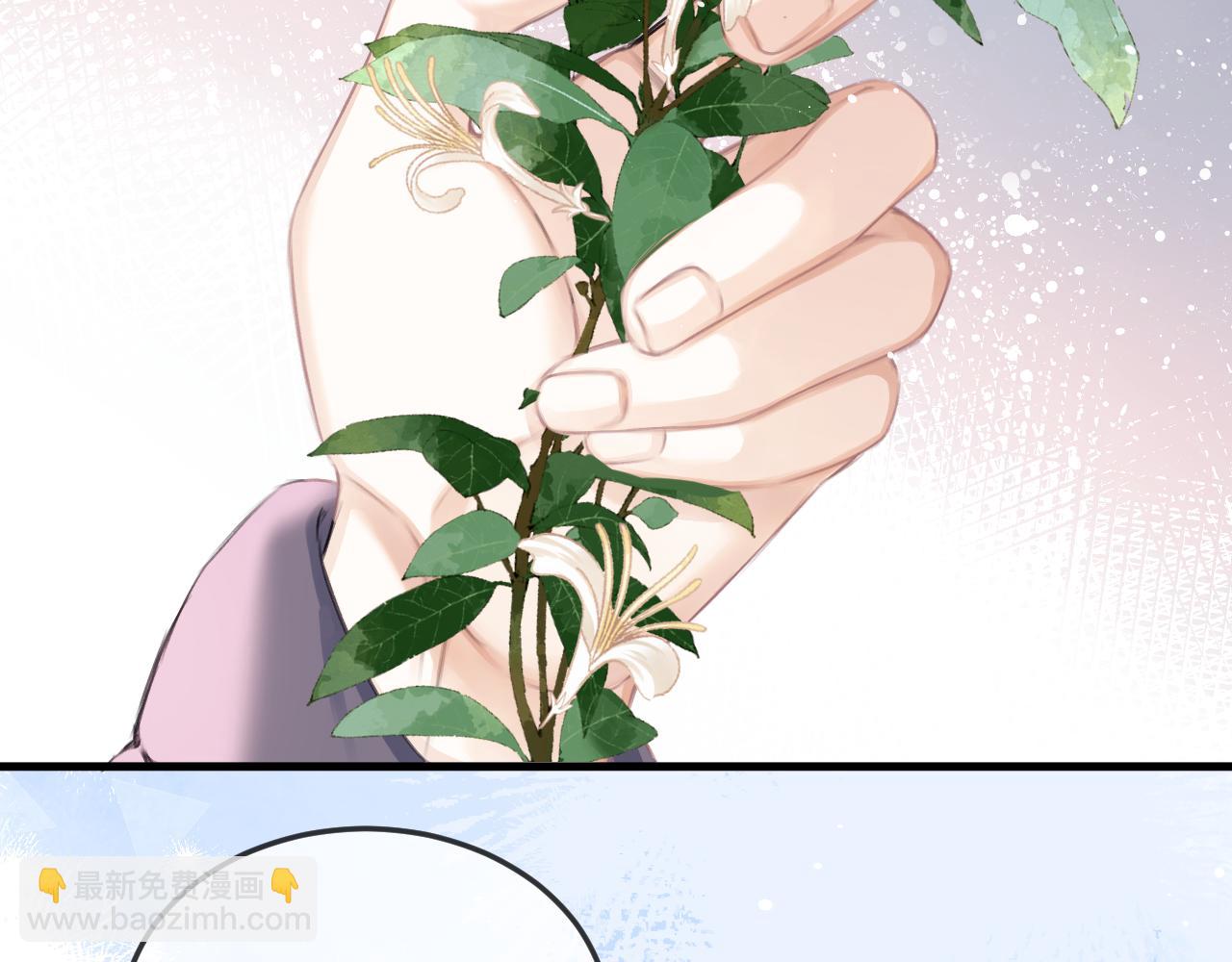 第42话 忍冬(1/2)-第51话