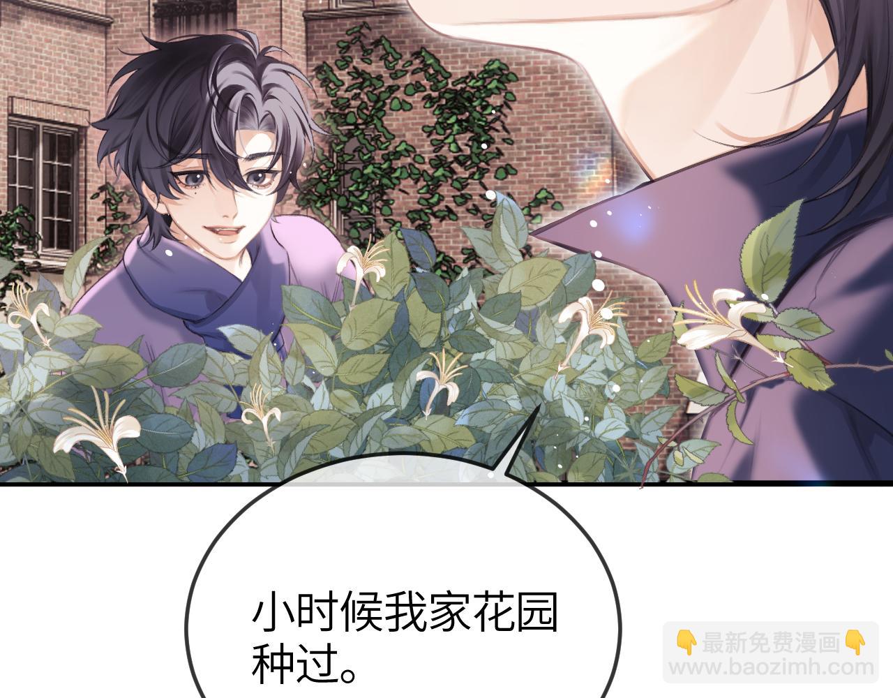 第42话 忍冬(1/2)-第51话