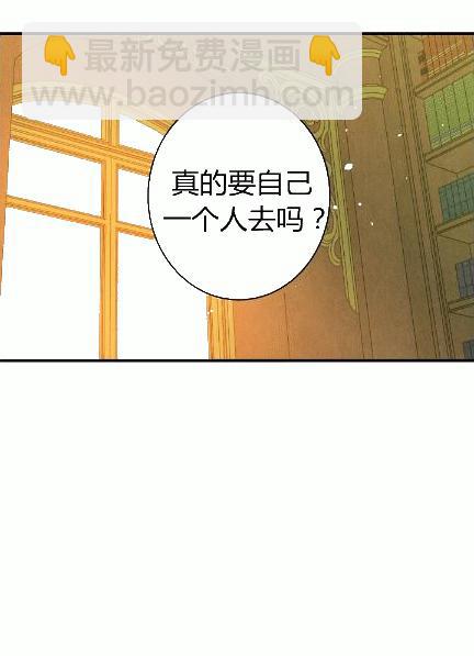 影子皇妃 - 第34話 變裝的目的(1/2) - 7