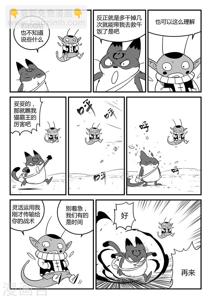 影子貓 - 第248話 特訓與特訓之外 - 2