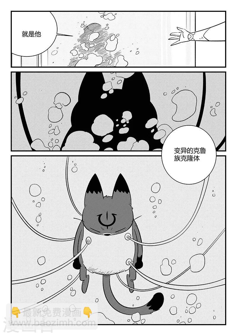 影子貓 - 第290話 亦真又似幻 - 2