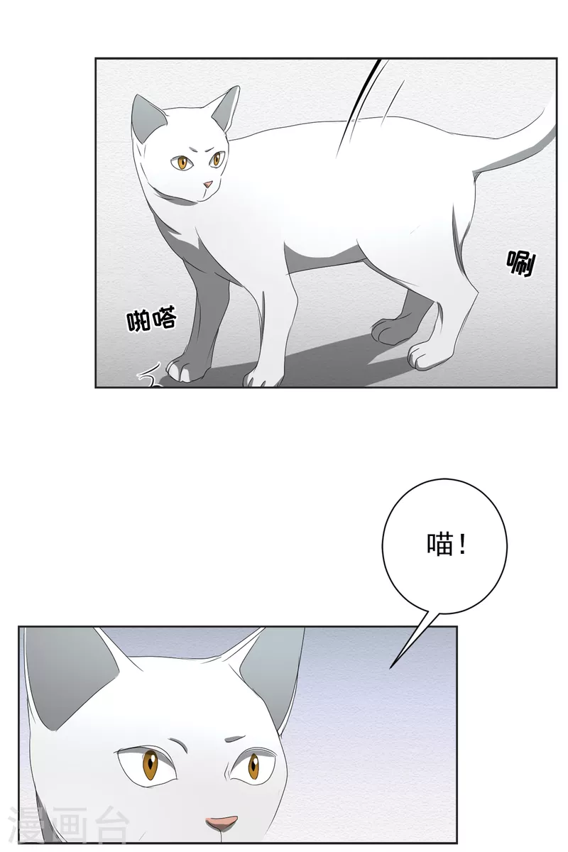 第41话 朴警官送汤姆回家(1/2)-第41话