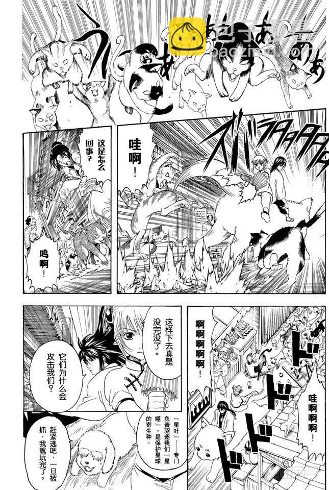 銀魂 - 第208話 愛貓與愛狗之人是水火不相容的 - 4