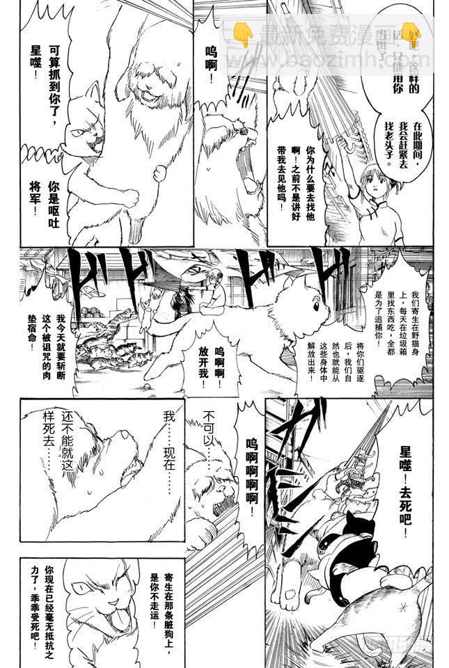銀魂 - 第208話 愛貓與愛狗之人是水火不相容的 - 3