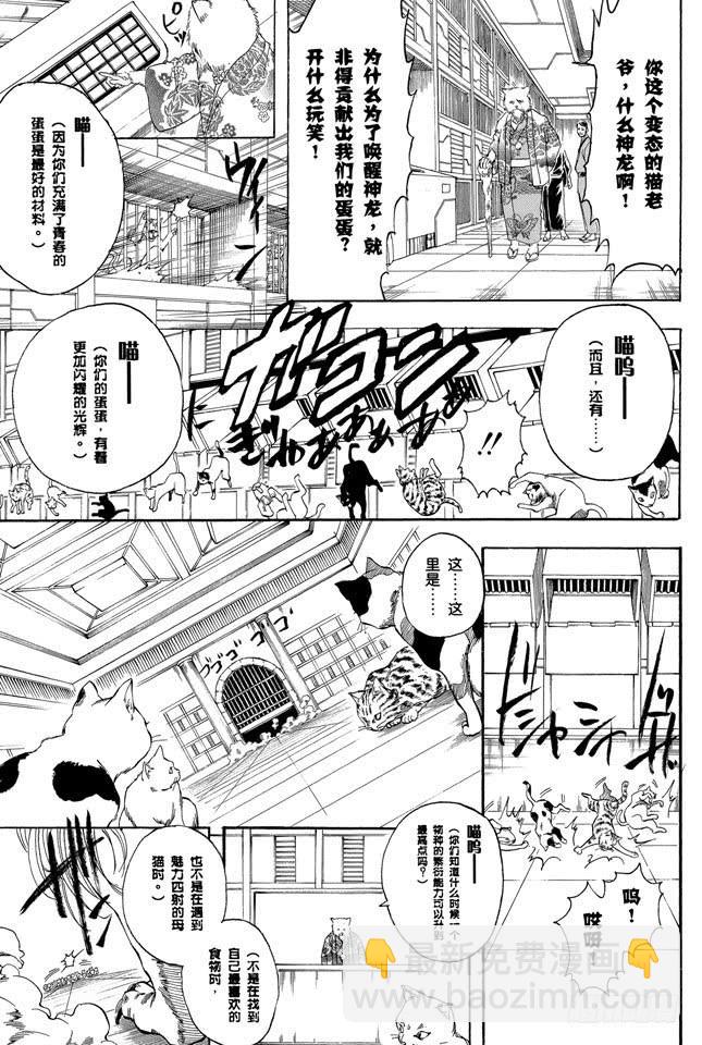 銀魂 - 第278話 更好地利用笨貓和尾巴 - 1