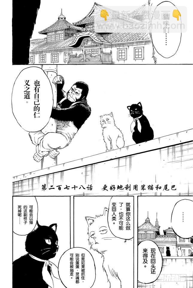 银魂 - 第278话 更好地利用笨猫和尾巴 - 4