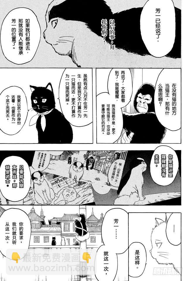 銀魂 - 第278話 更好地利用笨貓和尾巴 - 1