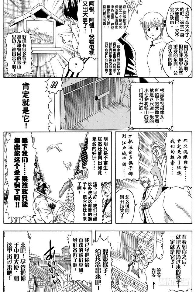 銀魂 - 第315話 名如其人 - 4