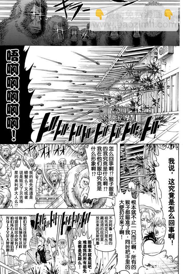 銀魂 - 第315話 名如其人 - 1