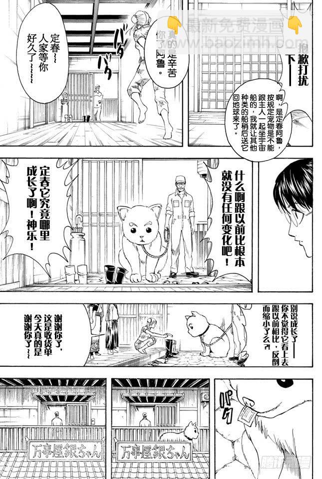 銀魂 - 第324話 暑假過後大家看上去都稍微成熟了一些 - 1