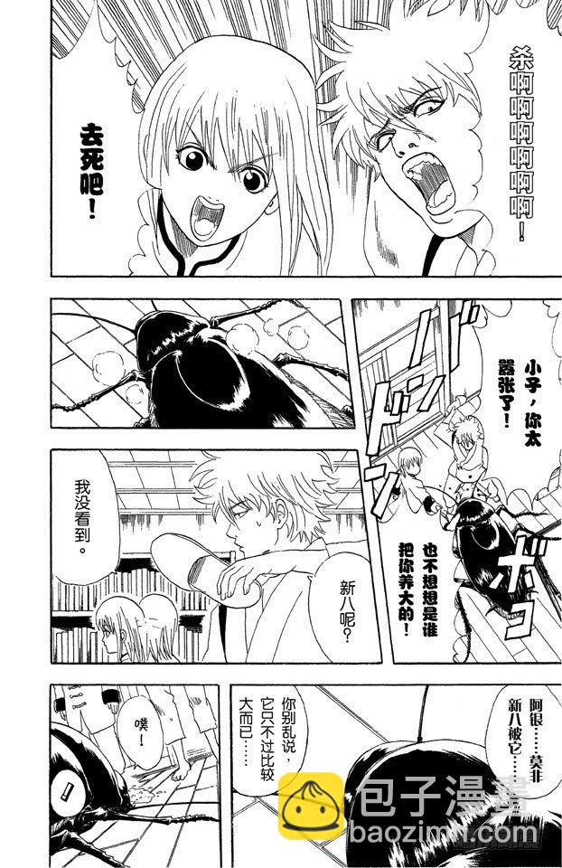 銀魂 - 第47話 電視和報紙必須看仔細 - 4