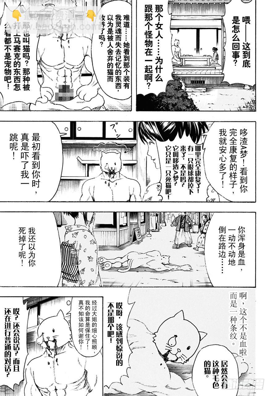 銀魂 - 第474話 我是眼鏡，他是墨鏡 - 2