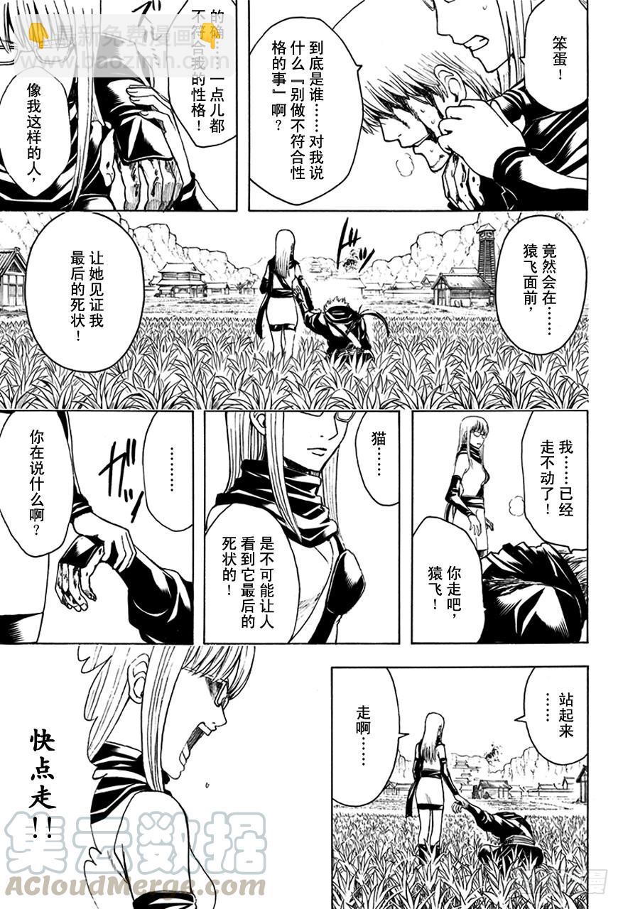 銀魂 - 第510話 武士與忍者 - 3