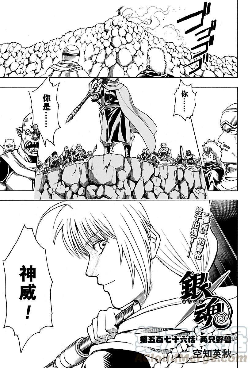 銀魂 - 第576話 兩隻野獸 - 1