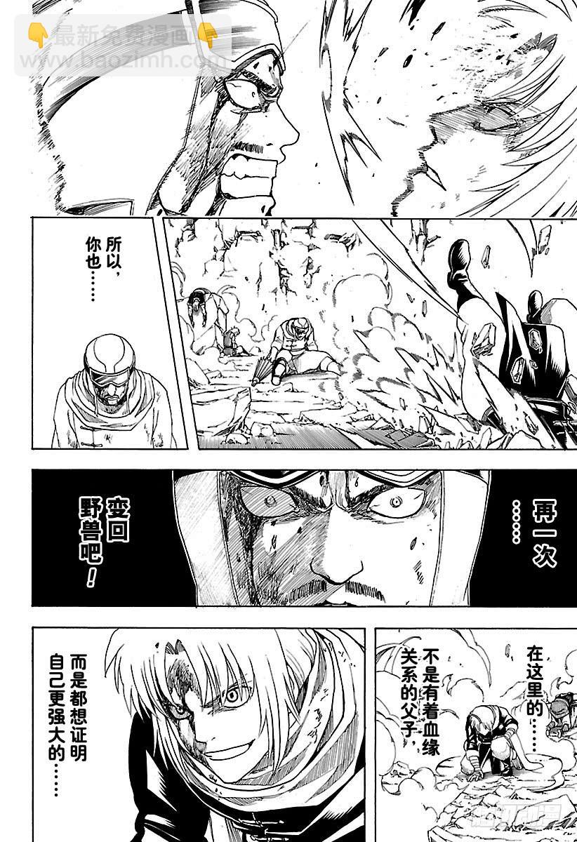 銀魂 - 第576話 兩隻野獸 - 4