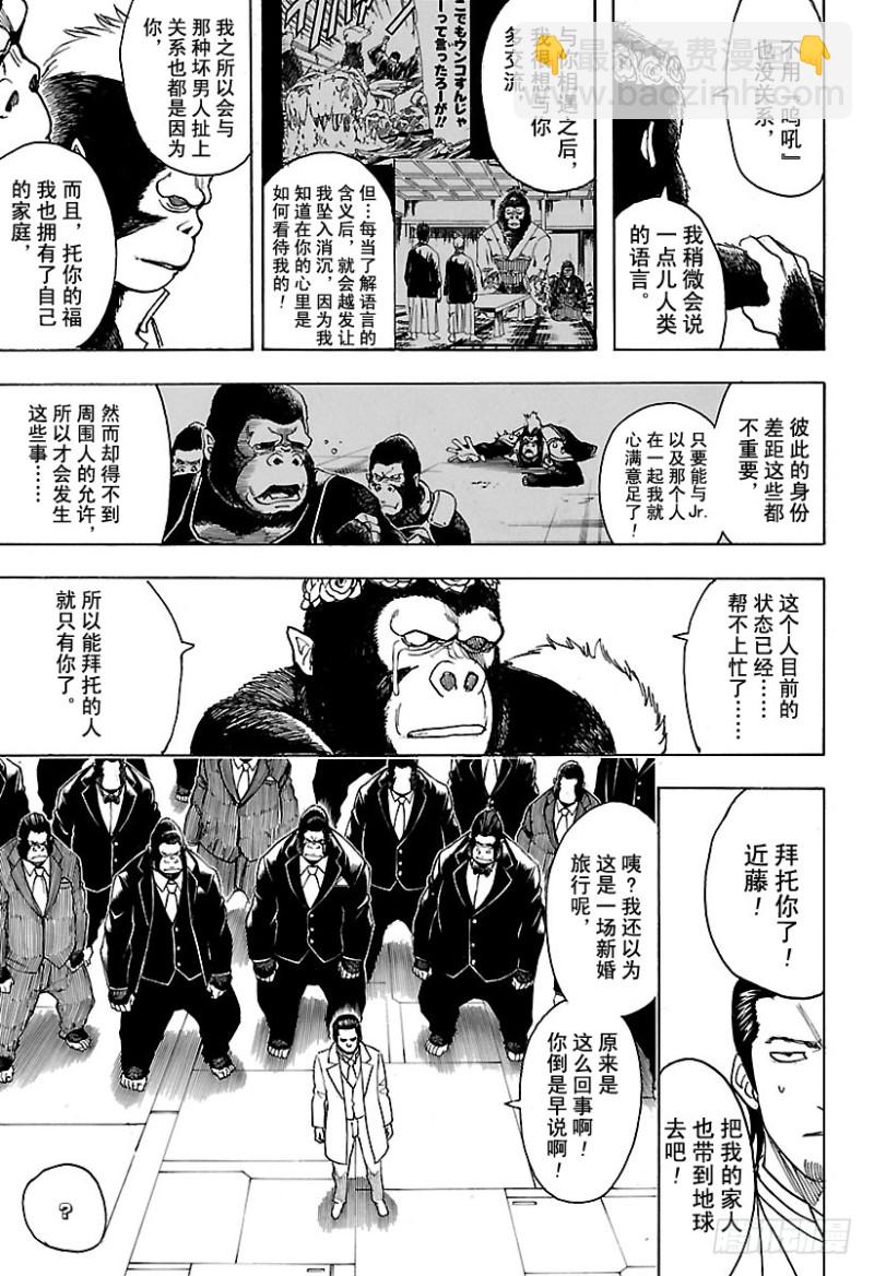 銀魂 - 第694話 大猩猩敗在大猩猩手上 - 3