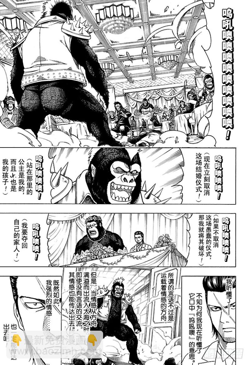 銀魂 - 第694話 大猩猩敗在大猩猩手上 - 4