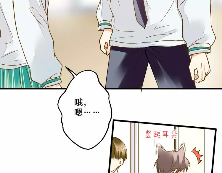 第74话 背后的悄悄话(1/2)-第75话