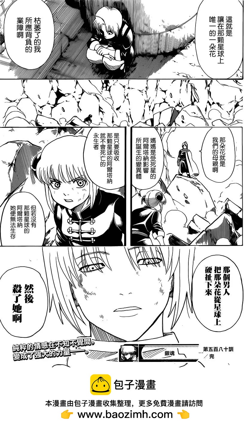 銀魂Gintama - 第580回 枯萎之花 - 3