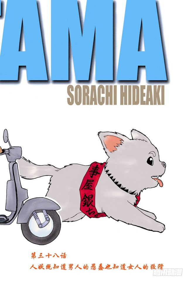 人妖既知道男人的愚蠢也知道女人的狡猾-第37话