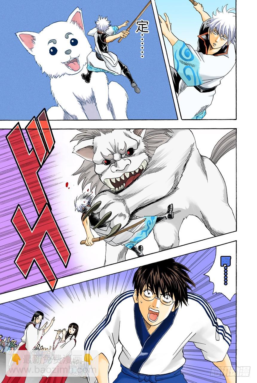 遛狗请保持适当的速度-第71话