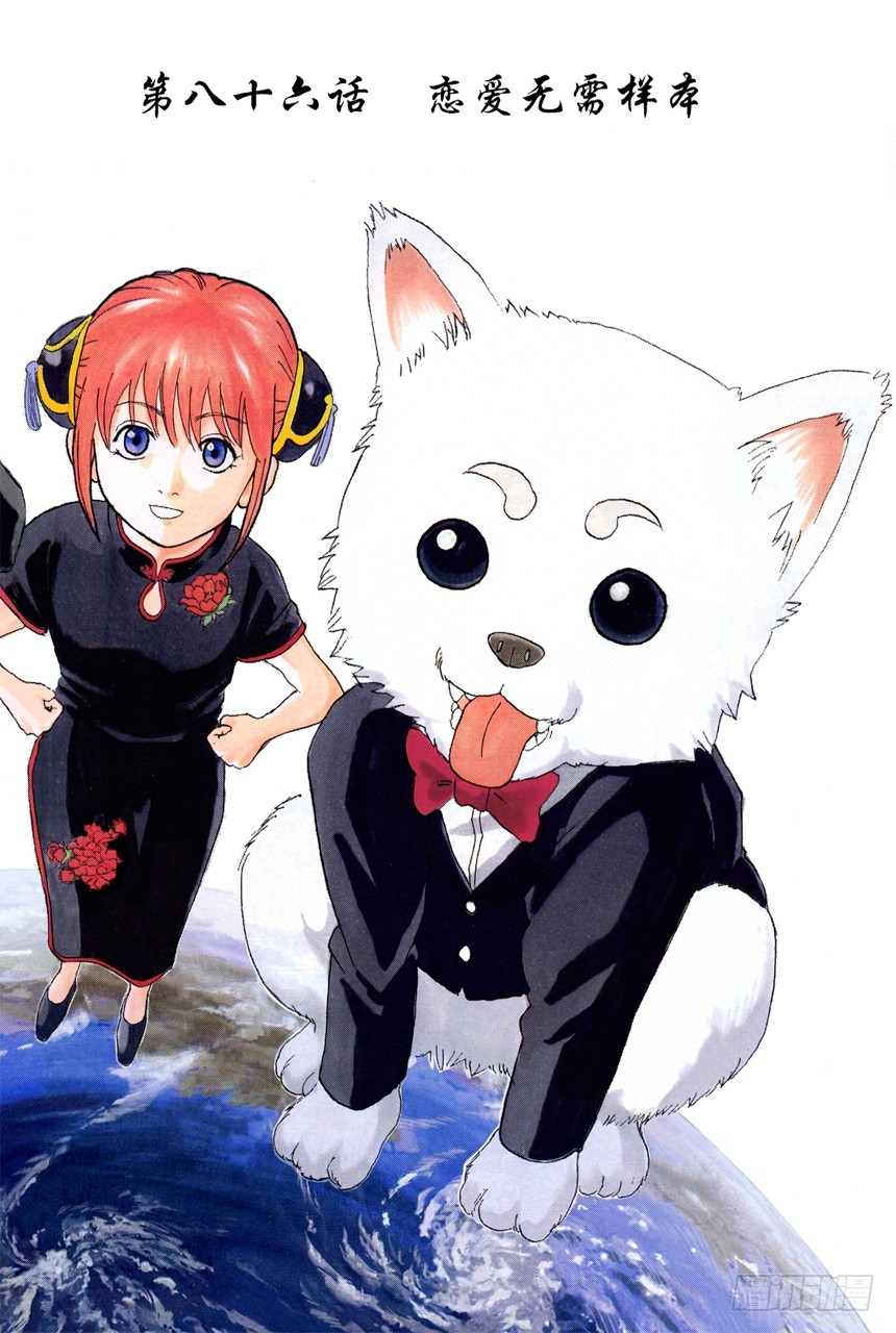 恋爱无需样本-第85话
