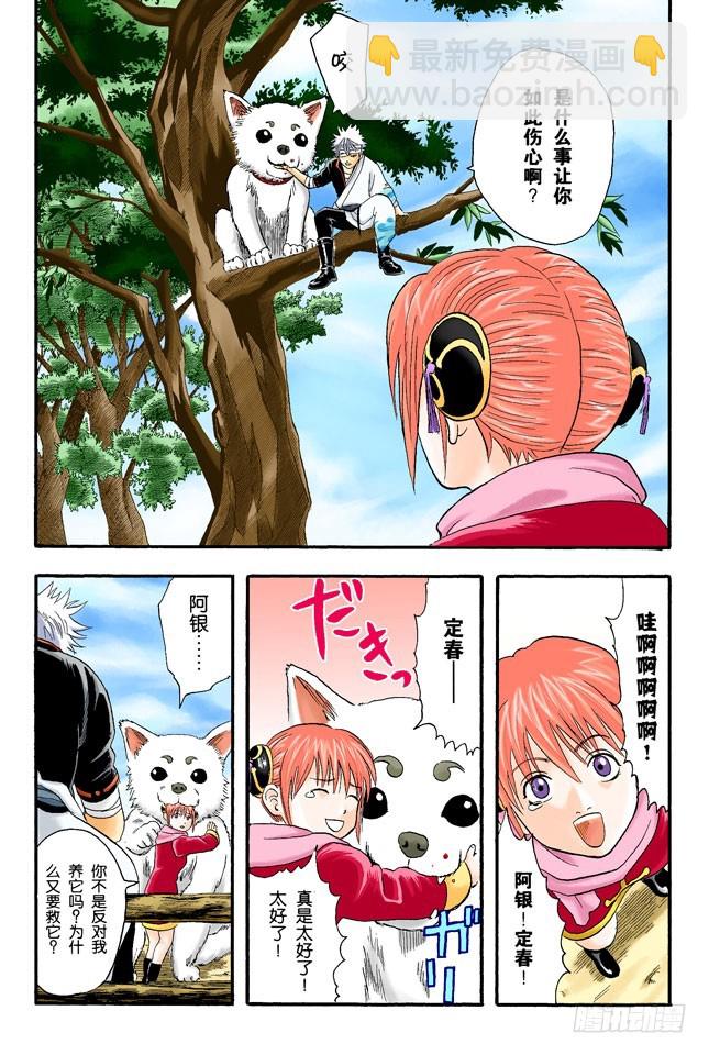 感觉疲惫时，就多吃点酸的东西！-第9话