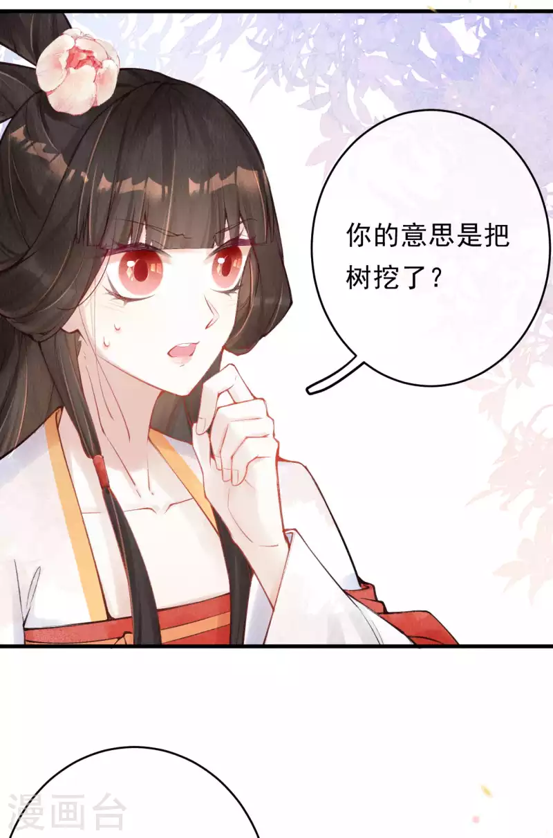 第33话 合欢树下的宝物-第35话