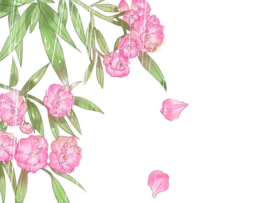 第十五章(1/3)-第15话