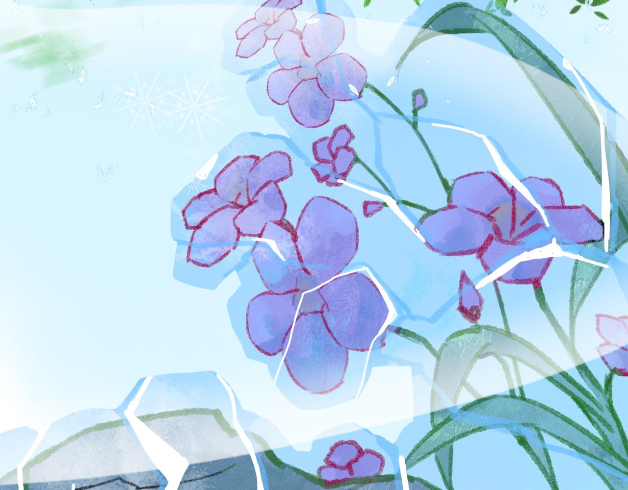 第二十四章 你们消失吧(1/2)-第25话