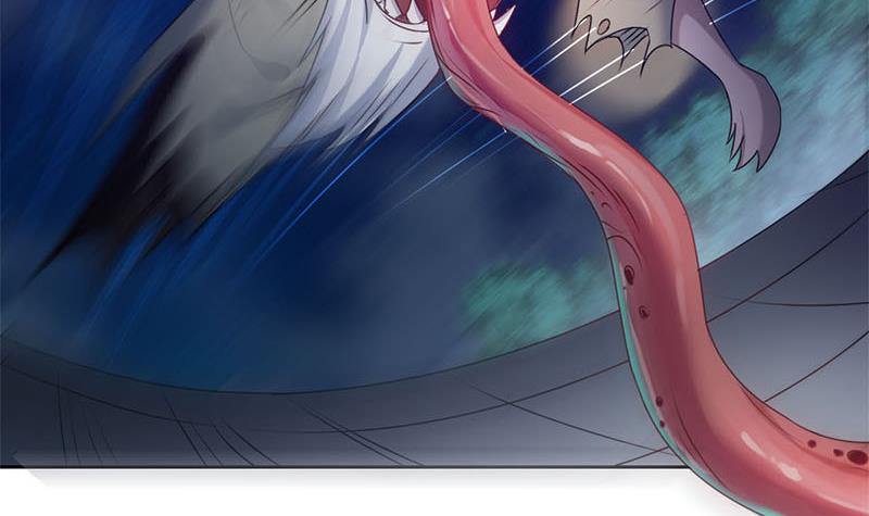 第11话 狐假虎威-第11话