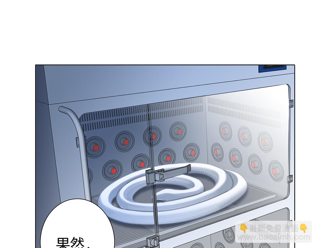 隱世華族 - 第81話 特別篇 身份（上）(1/2) - 4