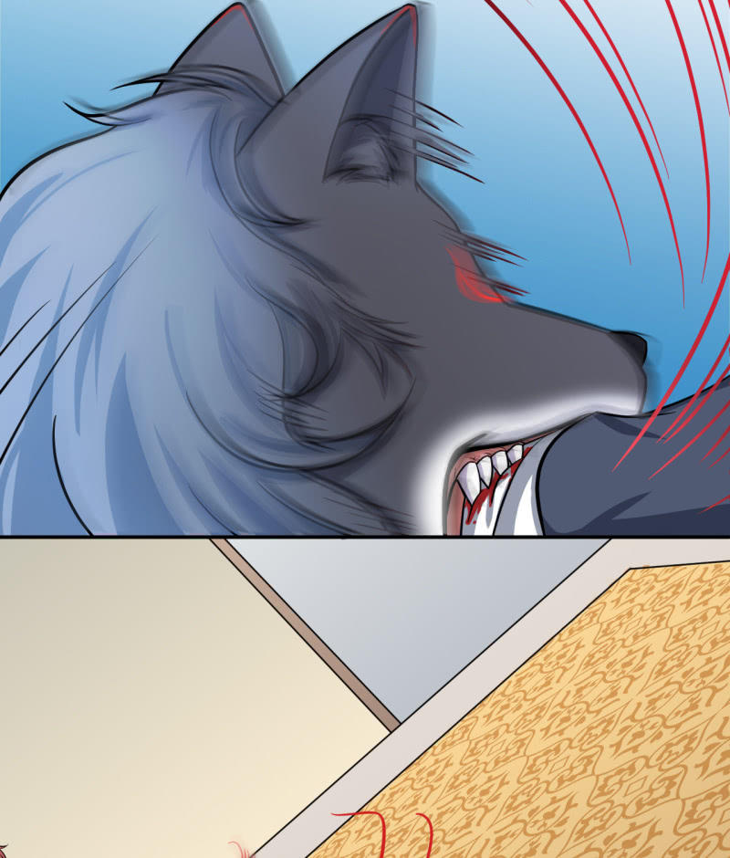 第24话 暴天符-第25话