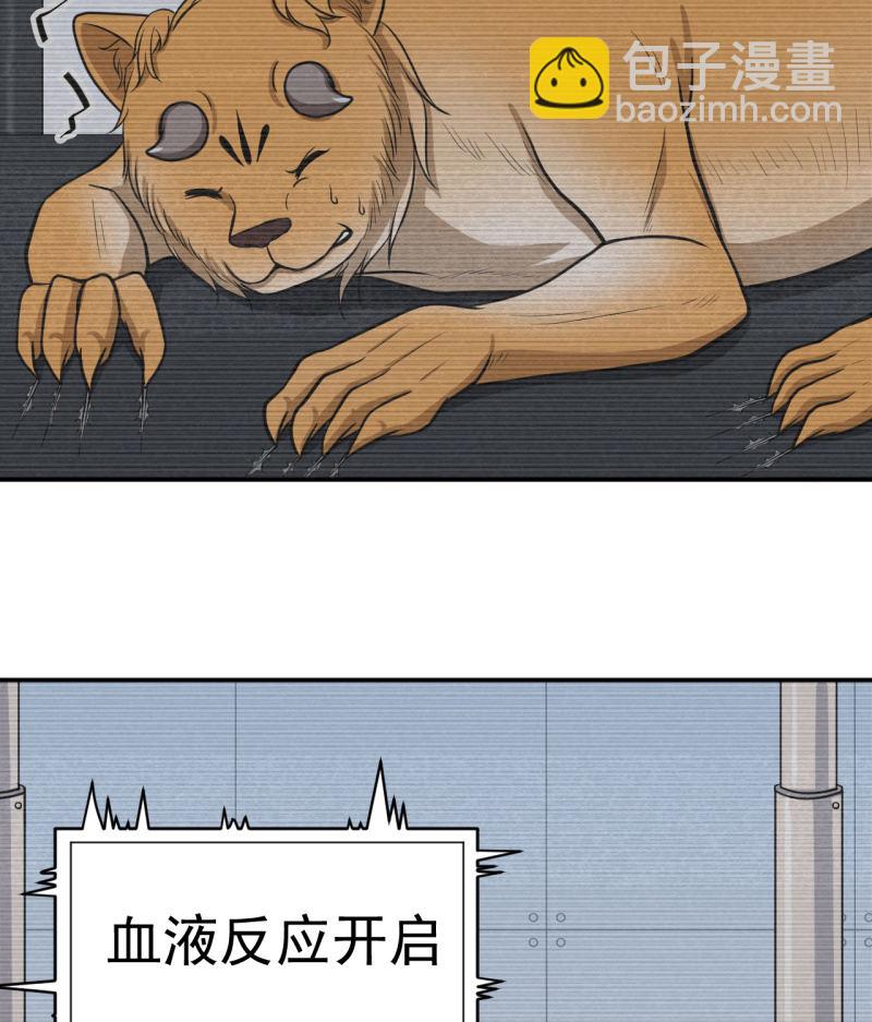 第32话 为了师父-第33话