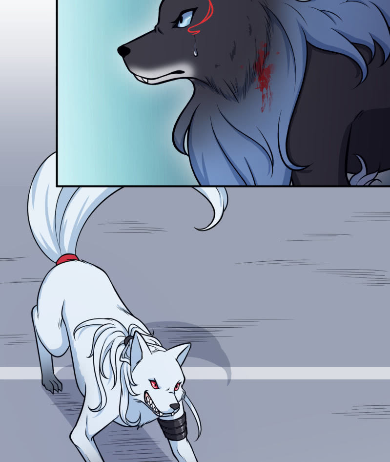 第36话 双生共命-第37话