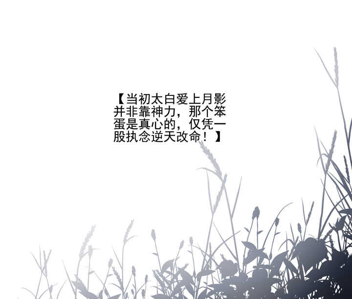 116 我叫月影-第127话