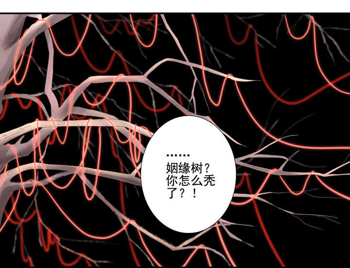 116 我叫月影-第127话