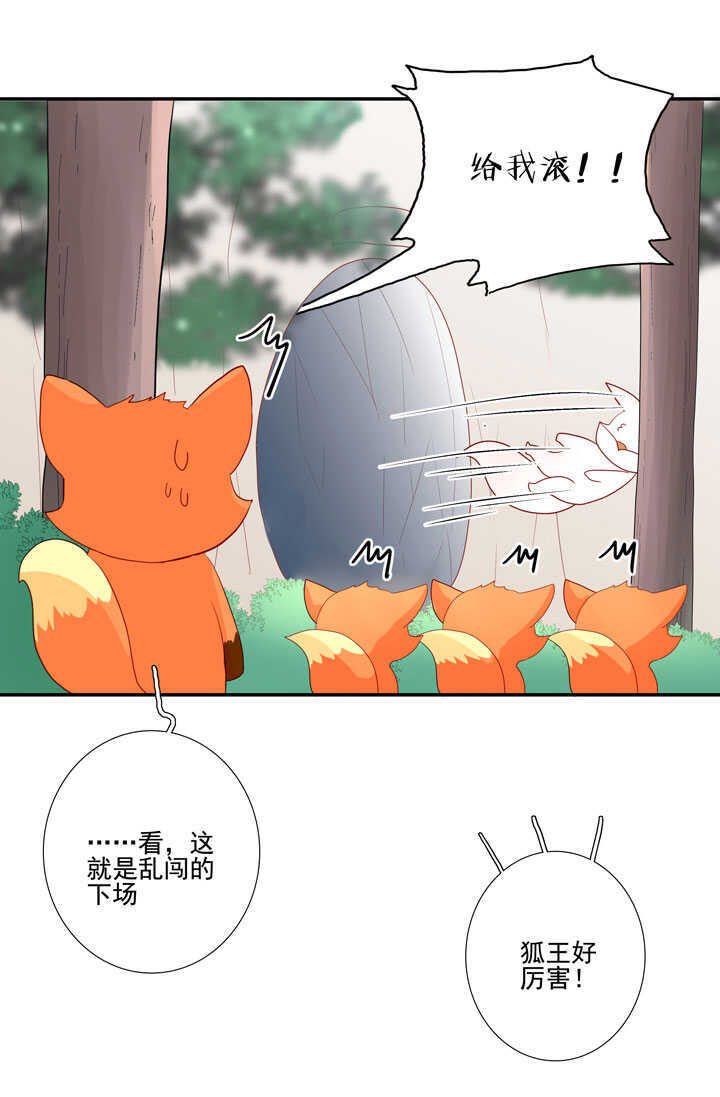 番外之森林篇-第133话