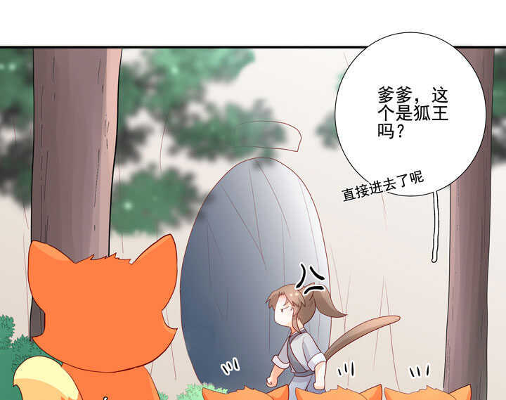 番外之森林篇-第133话