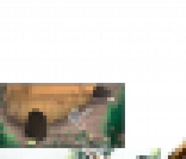 番外之现代篇 四-第85话