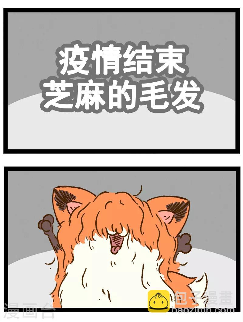 番外21 你好，星狐21-第101话