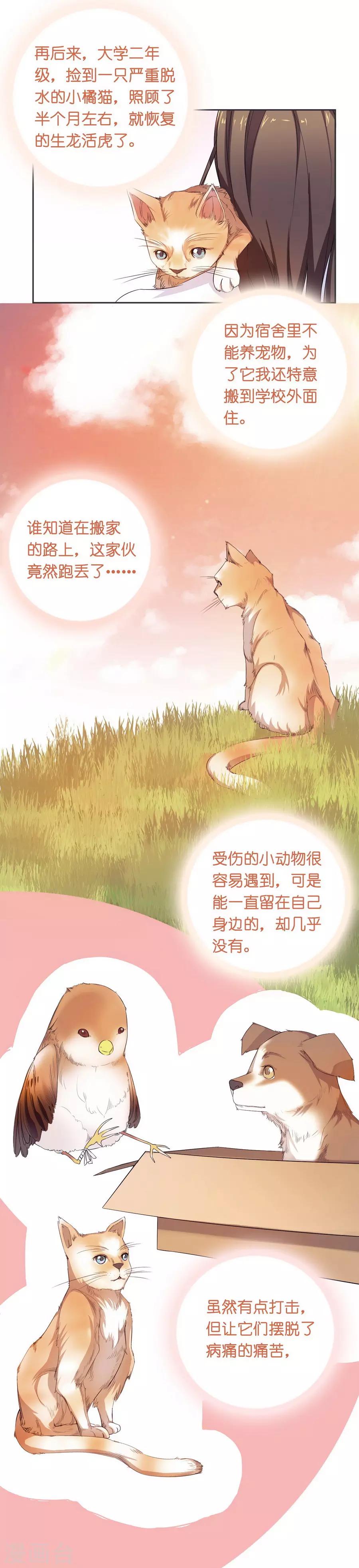 第10话 凉凉(1/2)-第29话