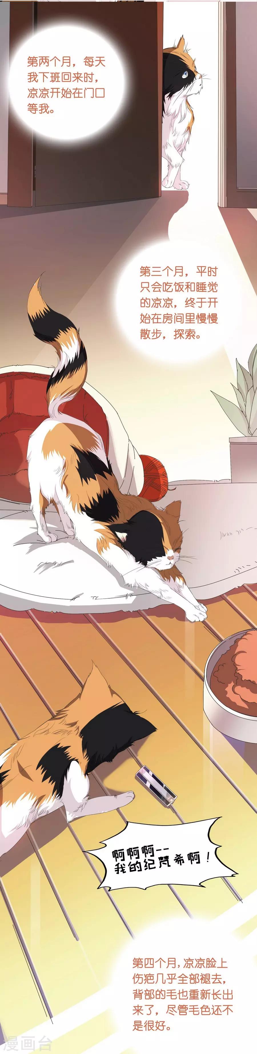 第10话 凉凉(1/2)-第29话