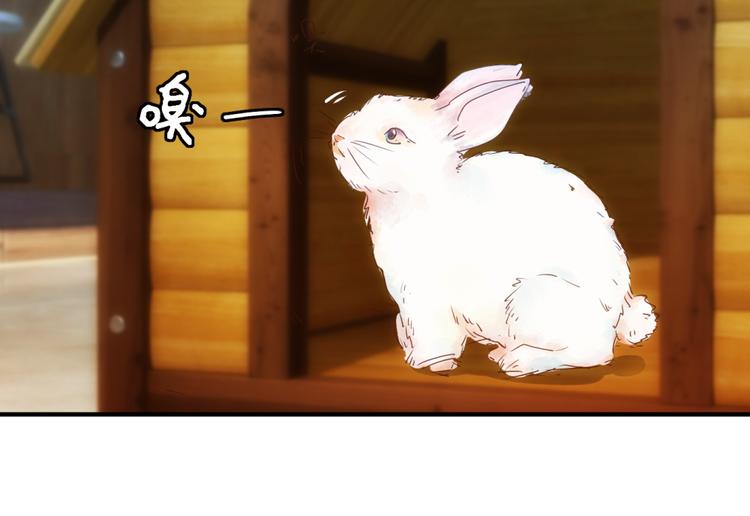 第7话 爱情参谋苏菲(1/2)-第7话