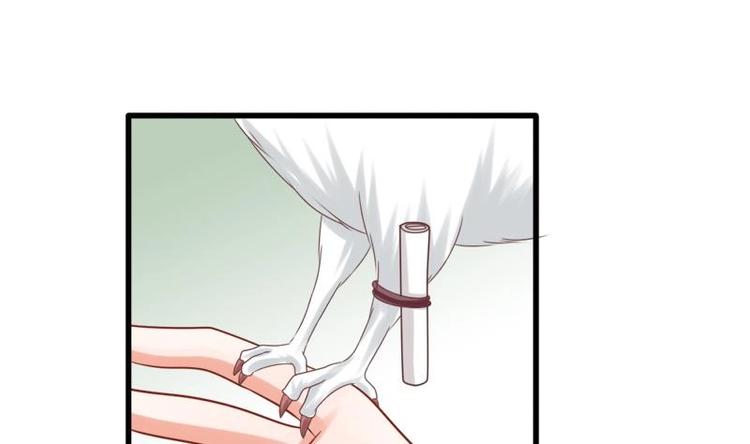 第17话 打听(1/2)-第17话