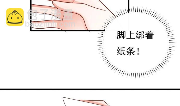 第17话 打听(1/2)-第17话