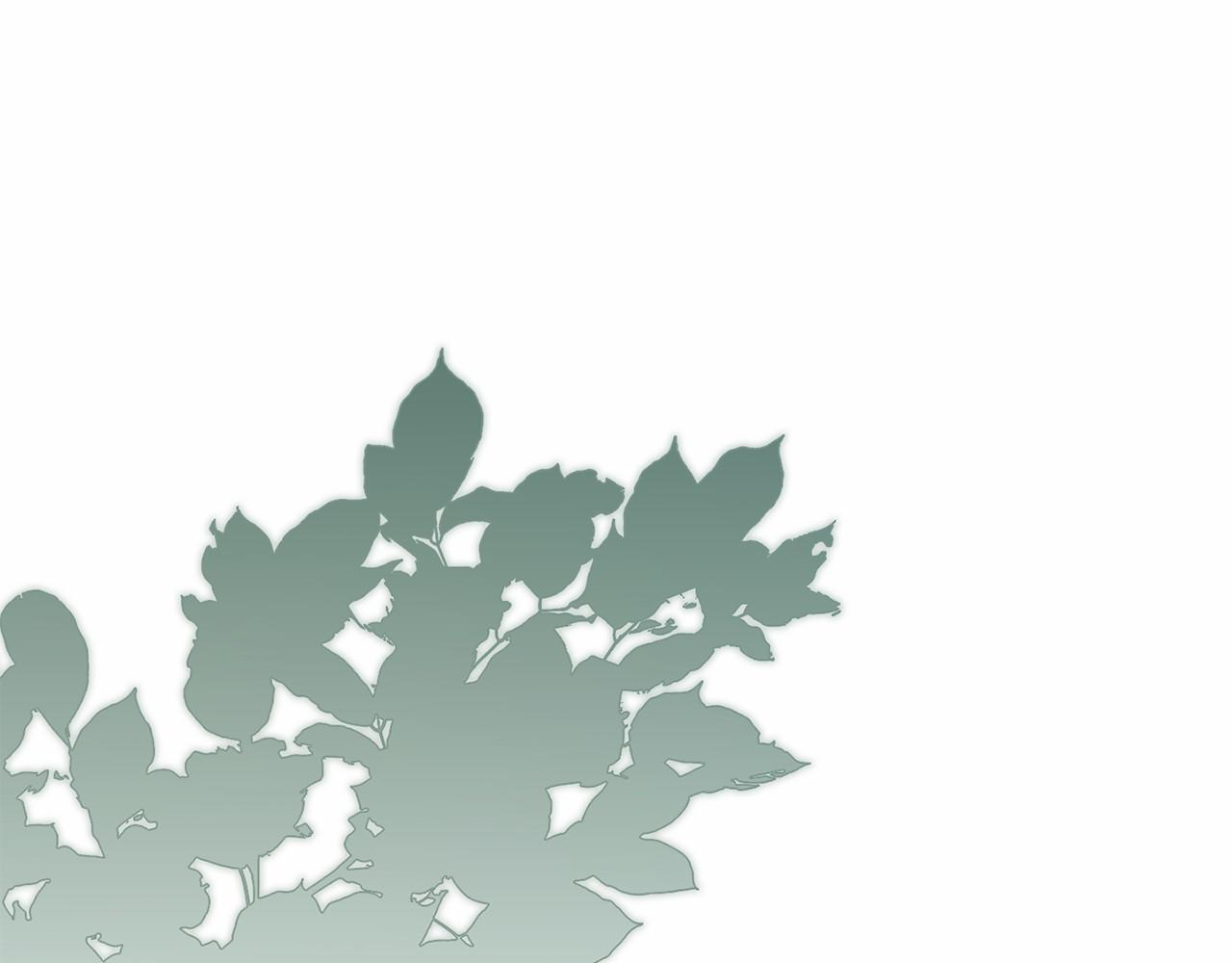 第78话 到底哪错了呢？(1/4)-第79话