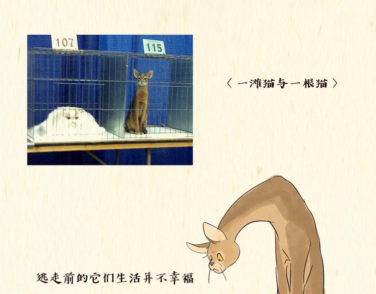 出逃，过往-第1话