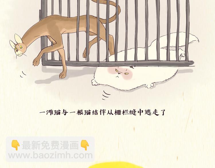 出逃，过往-第1话